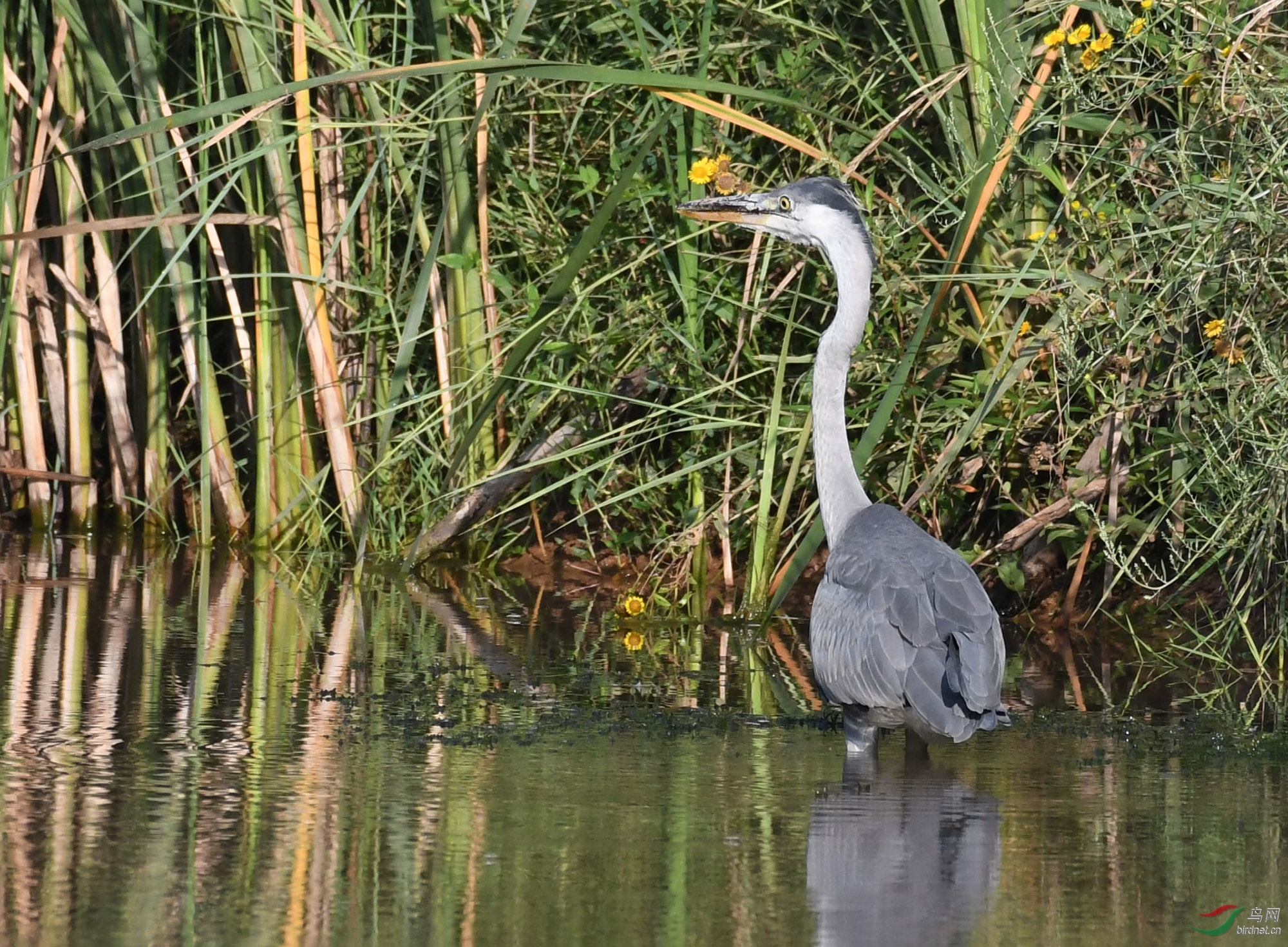 ������Ӱ 030����.jpg