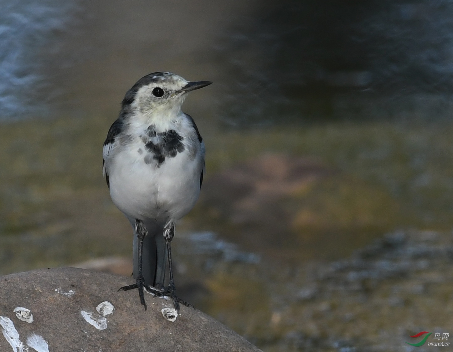 ������Ӱ 150����.jpg