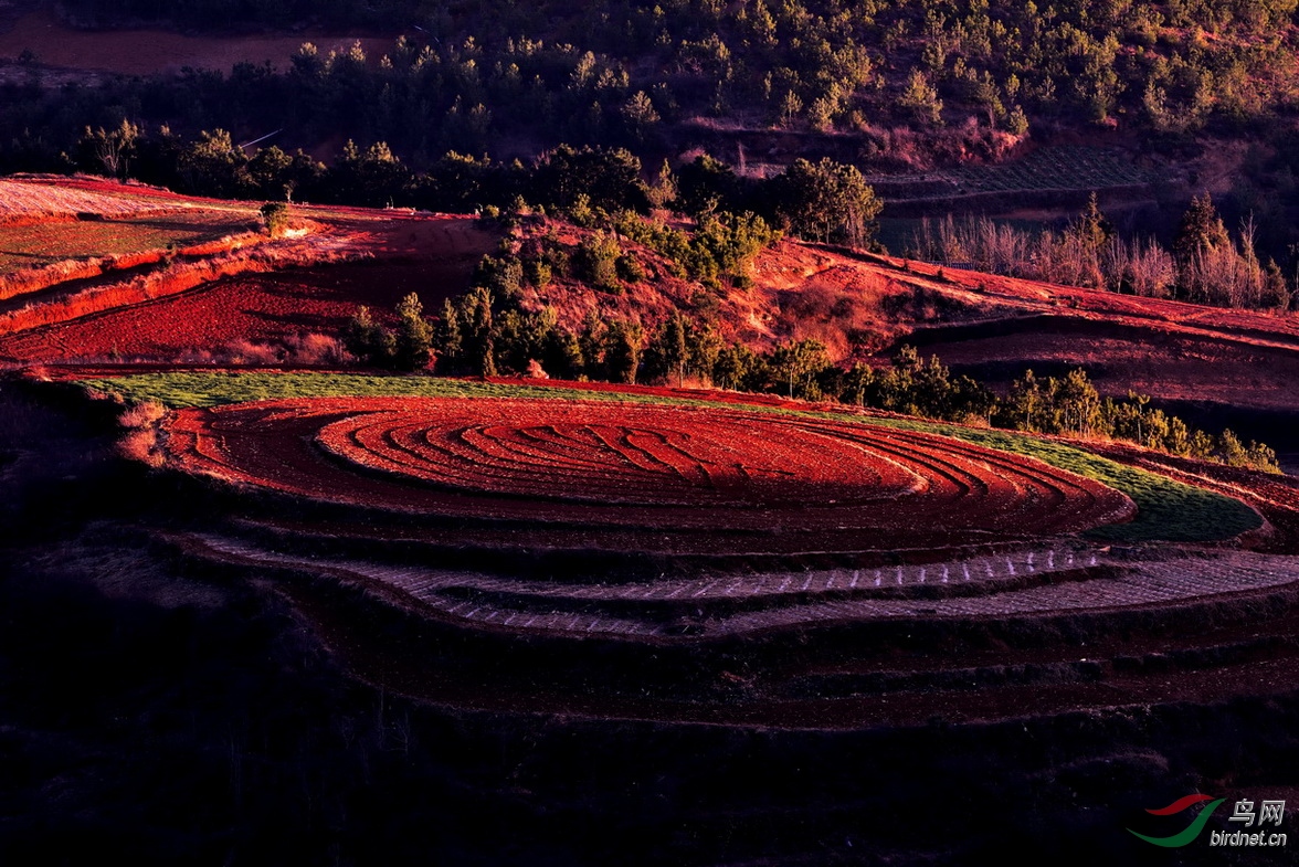 ̤��Ϧ����ȥ