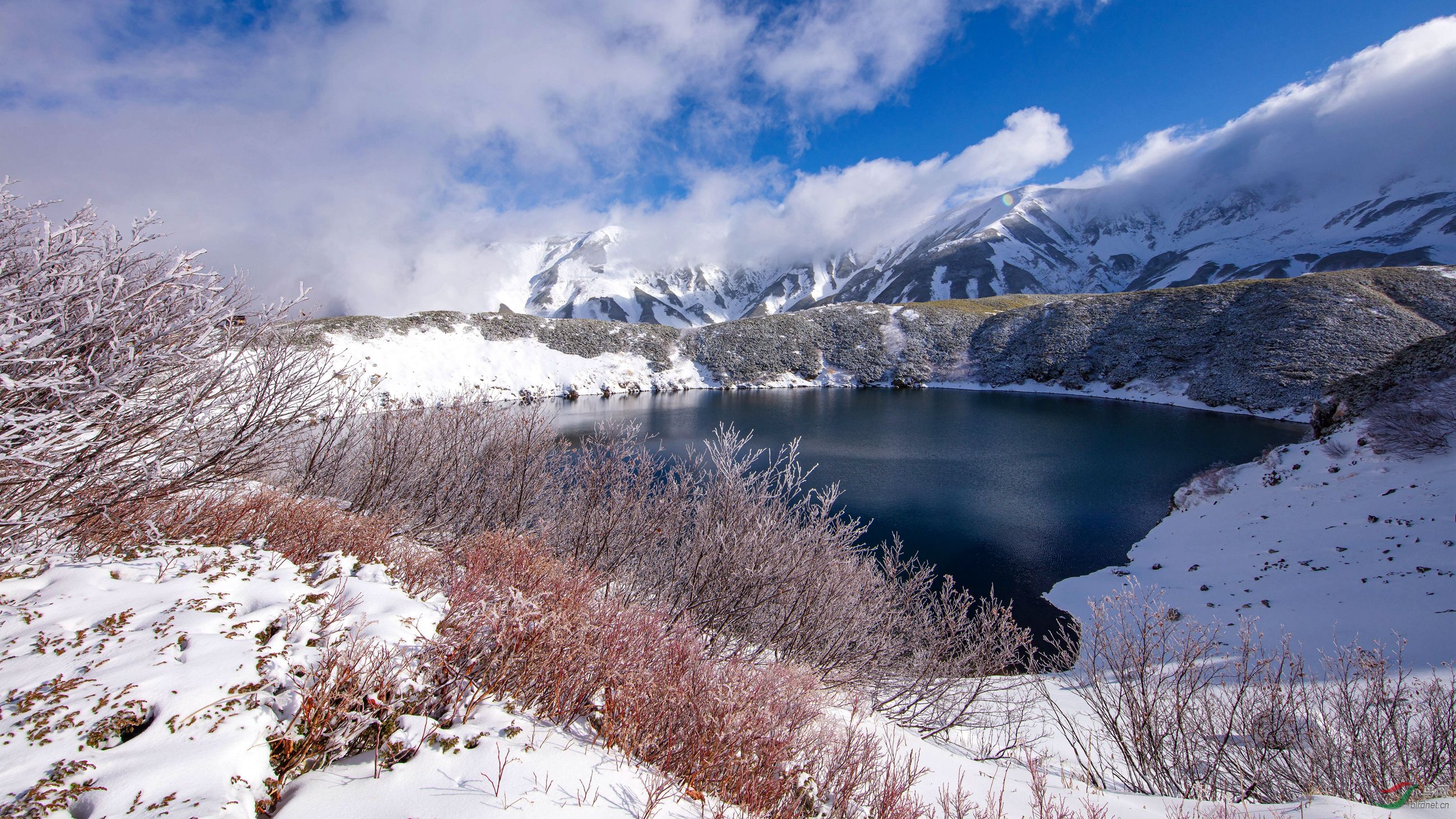 冰天雪地