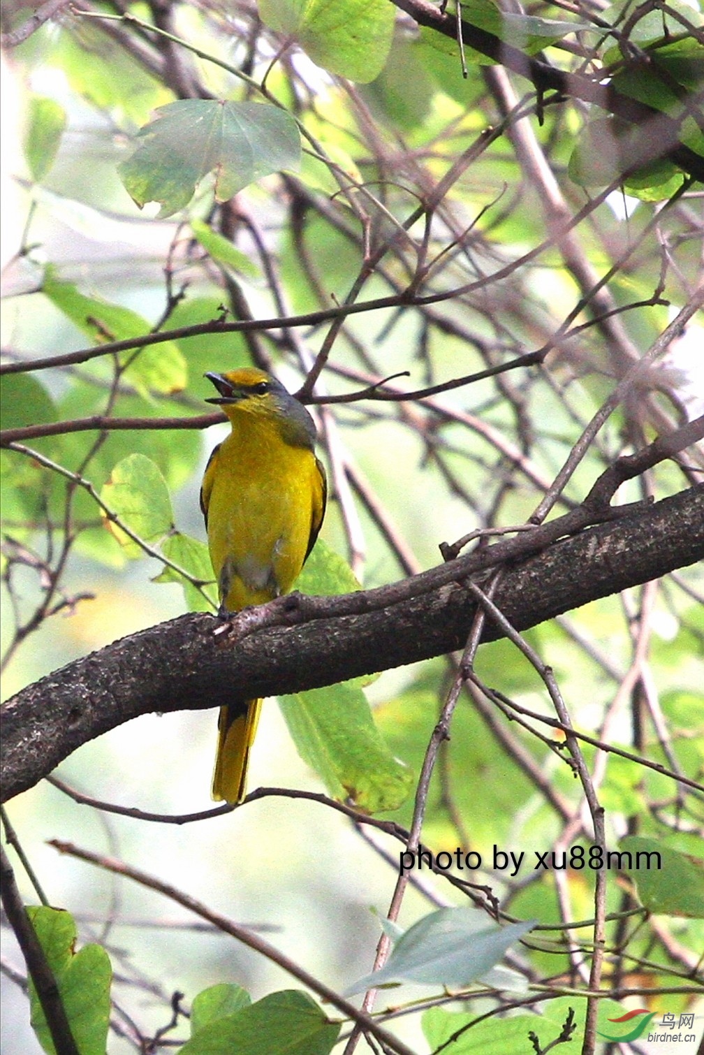 ����Լ15��