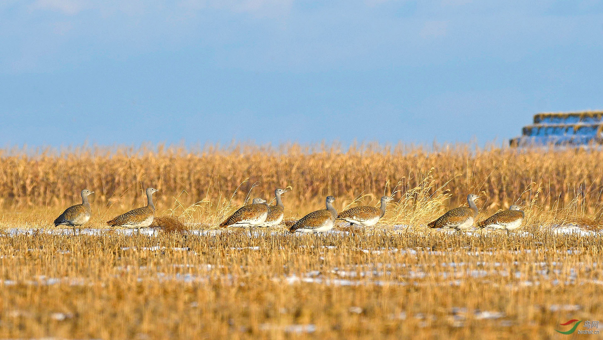 _DSC26662.jpg
