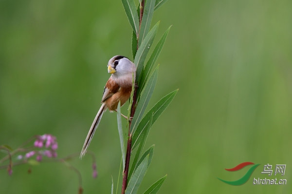 DSC_3986_����.jpg