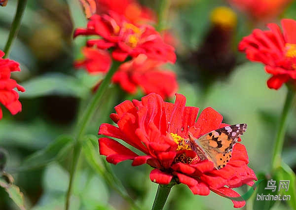 DSC_1073_����.jpg