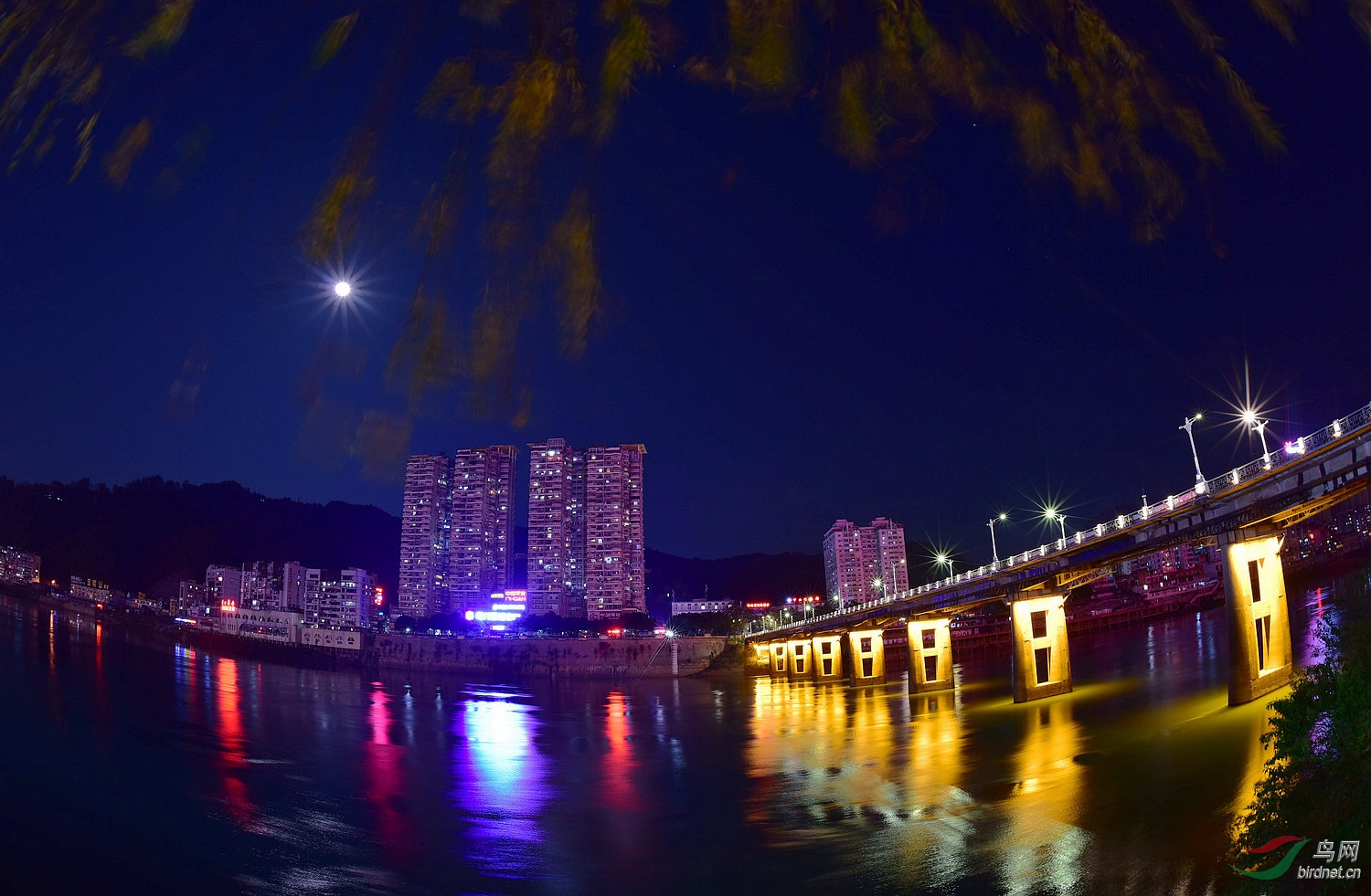 D8I_2975.jpg