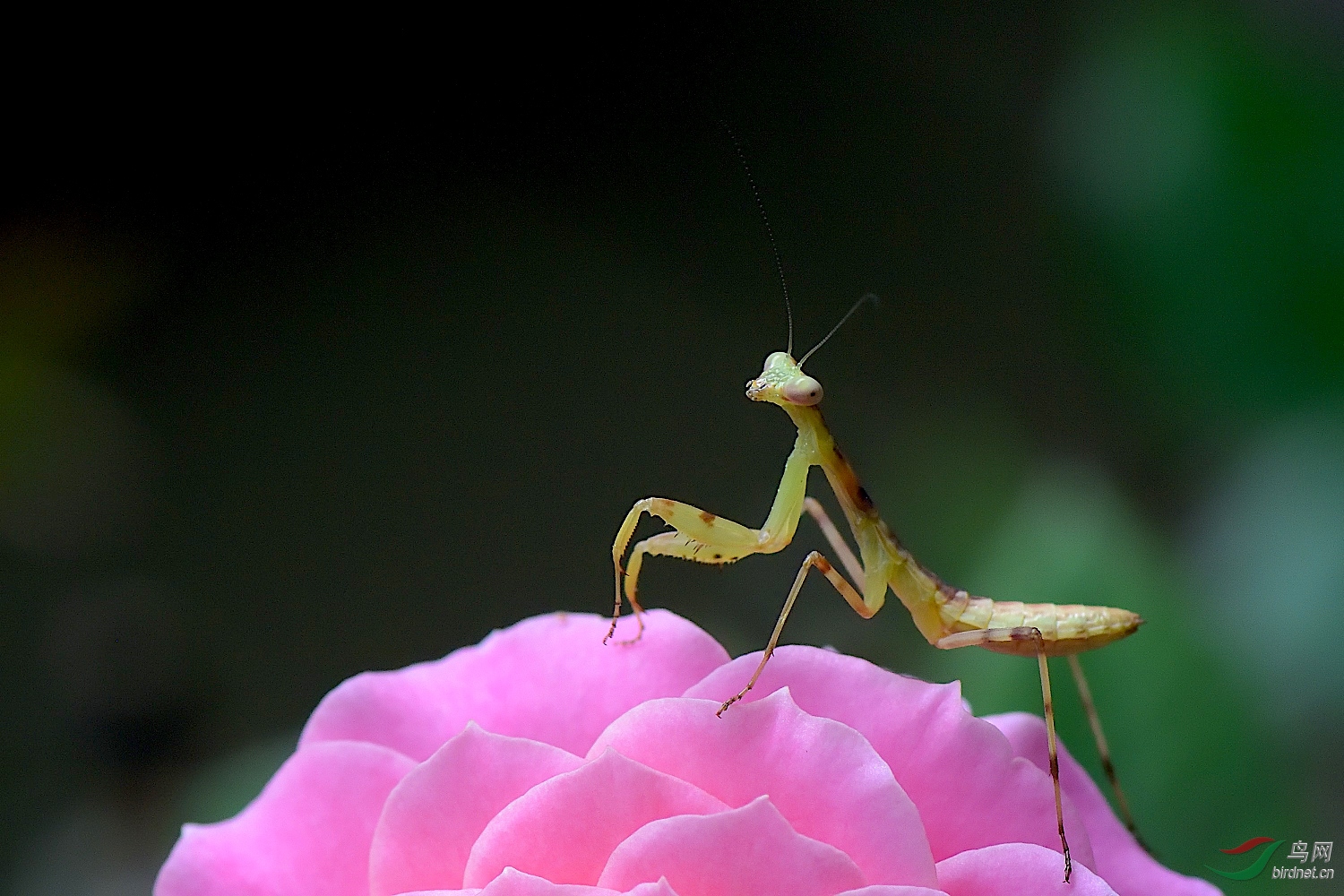 DSC_4621_00001_01.jpg