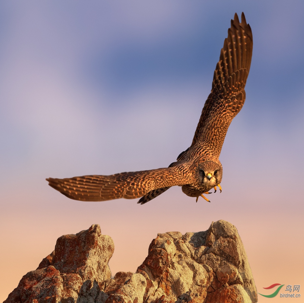 J4W_0631_���ɹŰ�   һ����Ƭ.jpg
