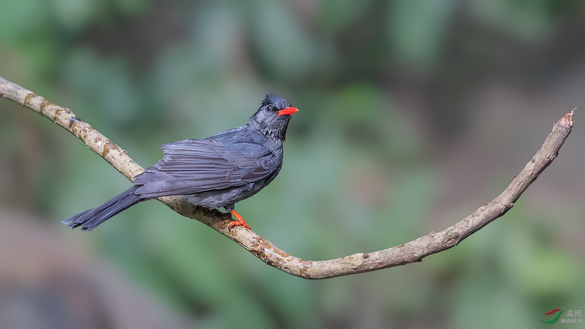DSC_7364.jpg