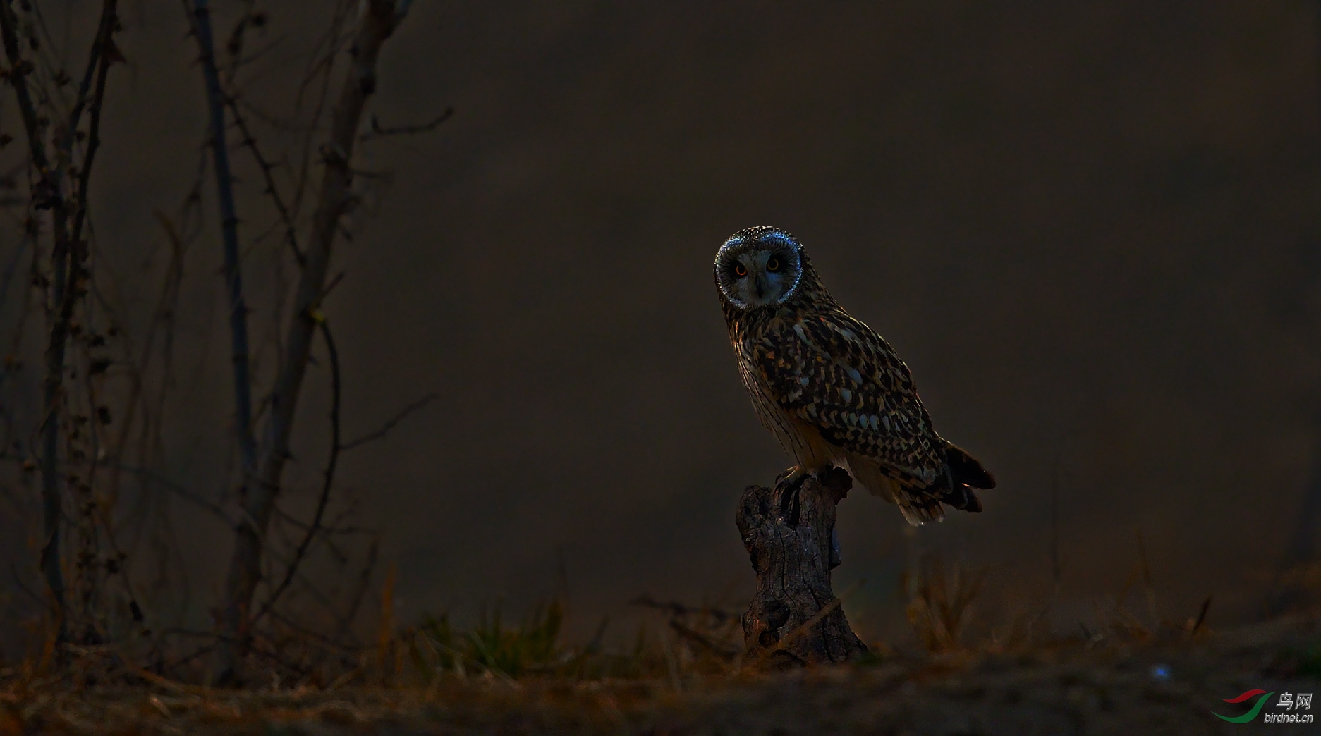 DSC_5400_����.jpg