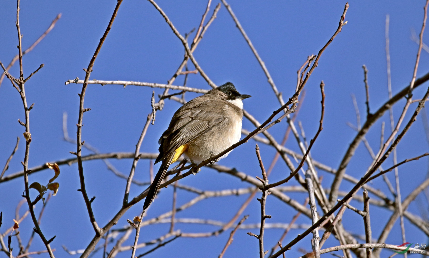 _S8A1458.jpg