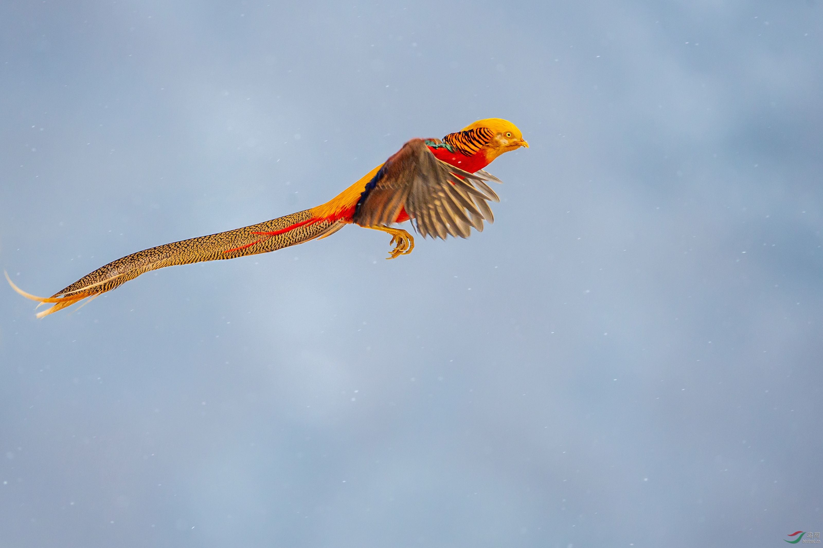 �츹���� (14).JPG