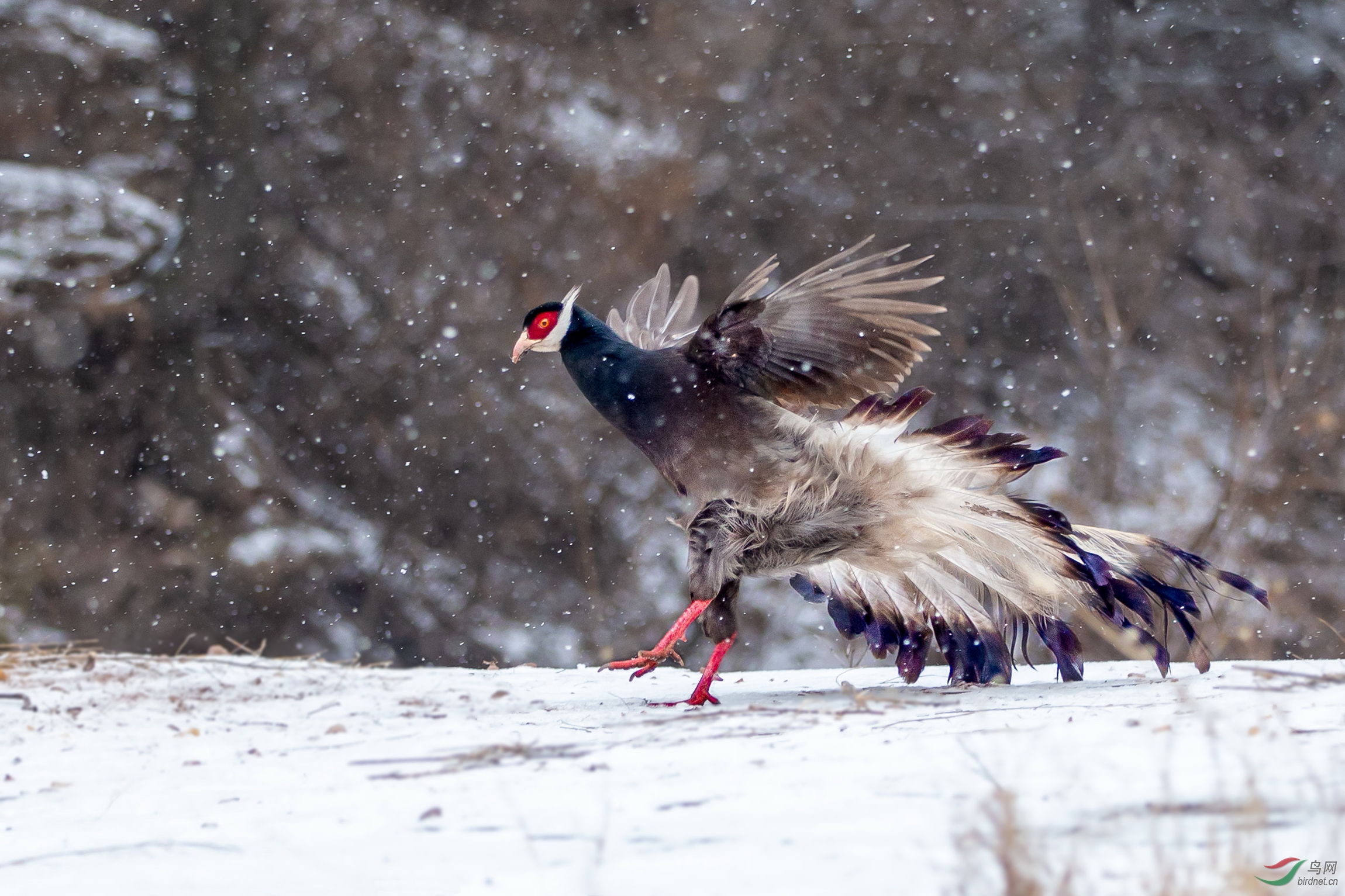 ������ (3).JPG