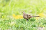 11 (21).JPG