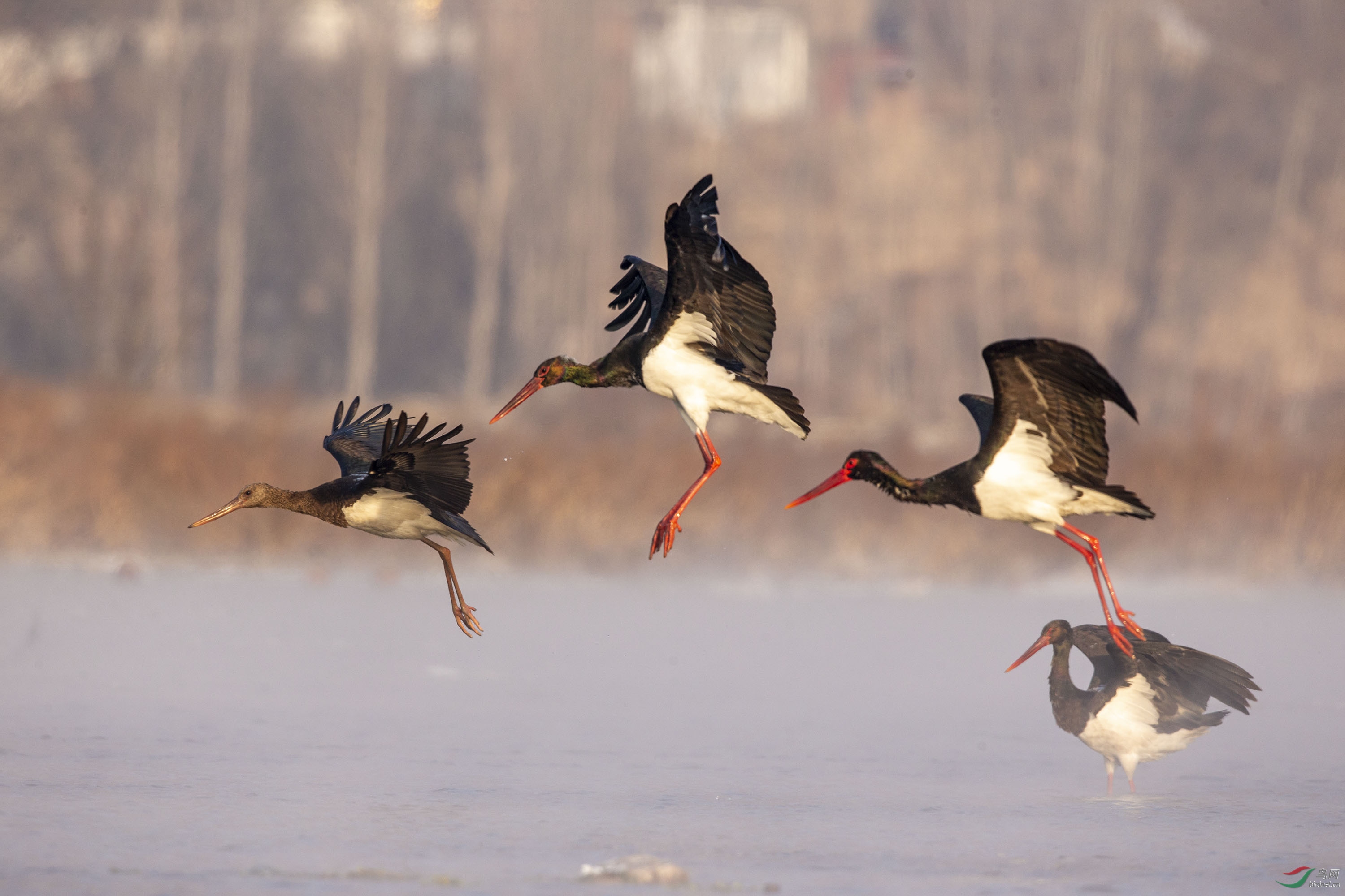 _21I8932 - ����.jpg