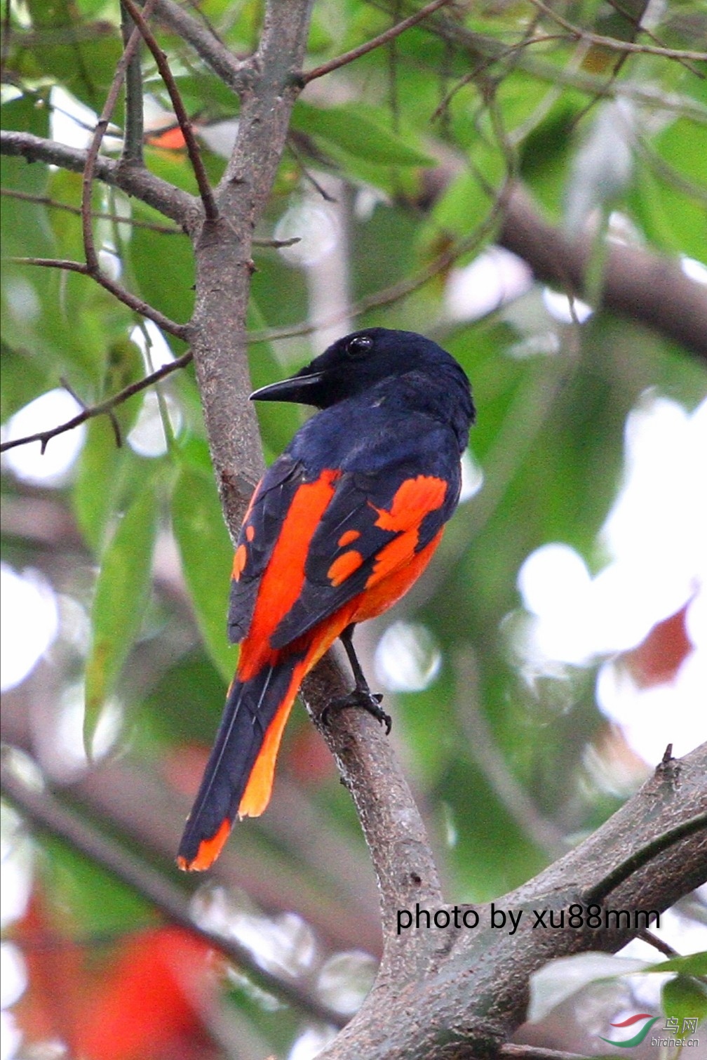 ����Լ20��