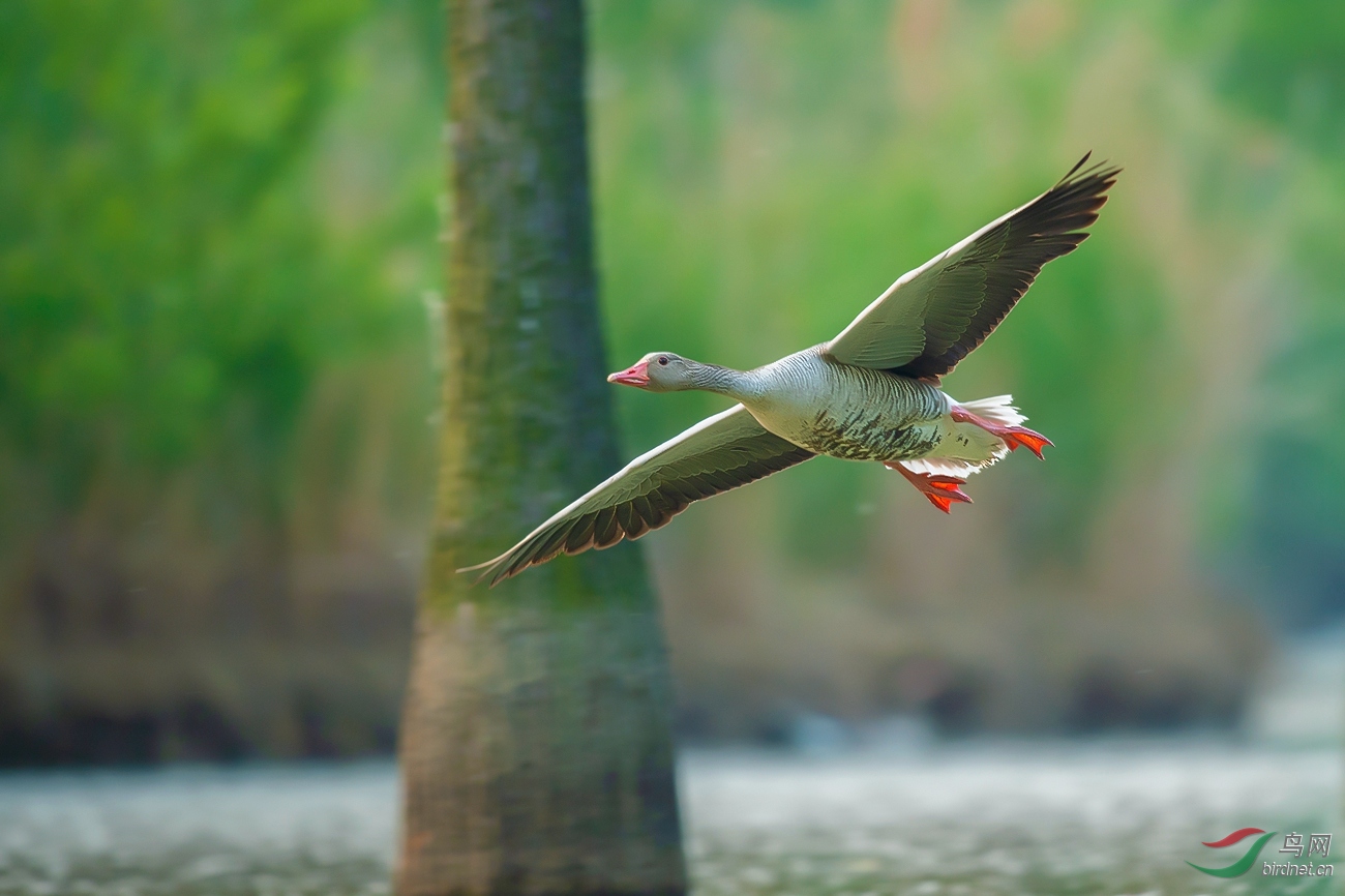 DSC_1225---_����2.jpg