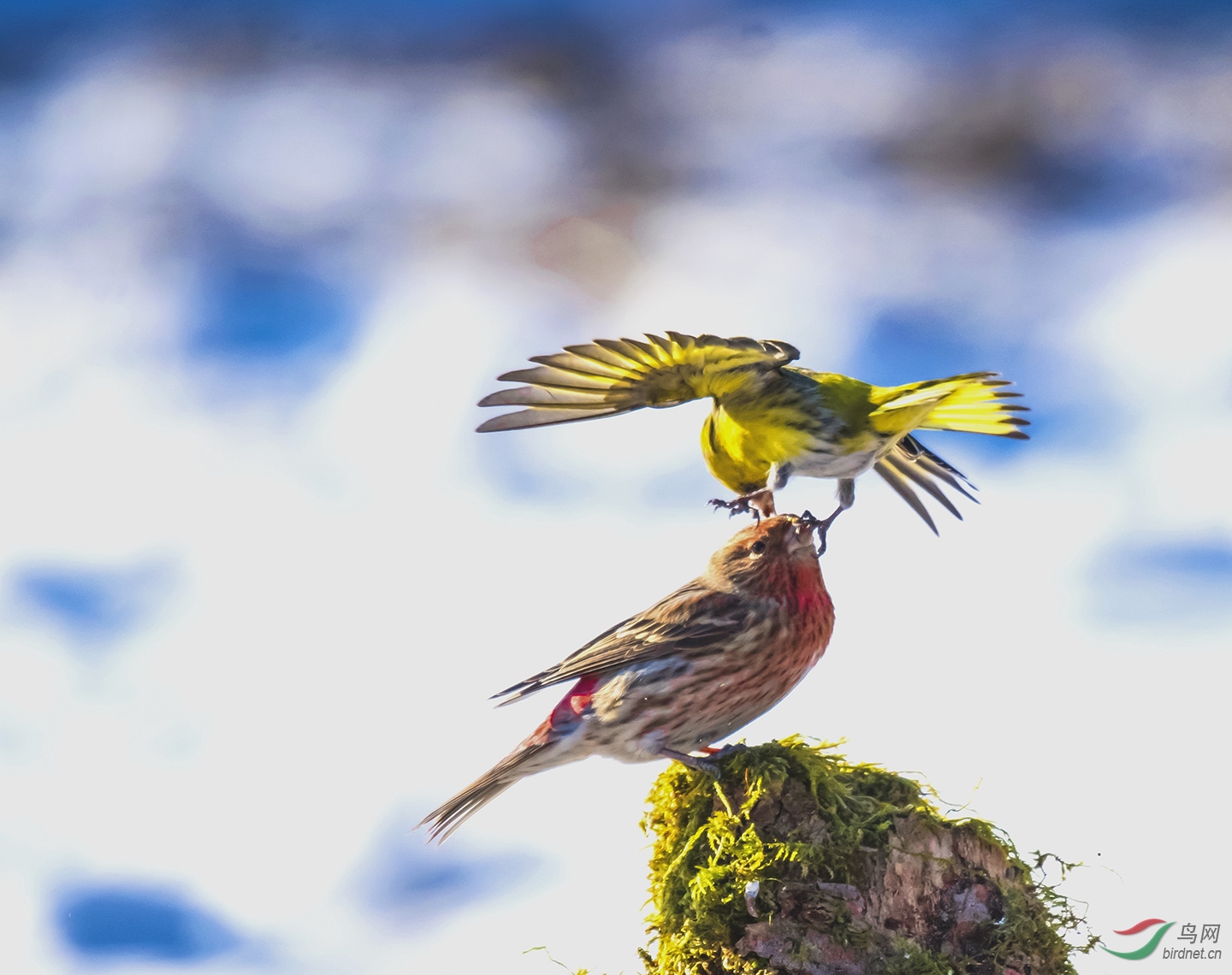 ��ȸ��ս����ȸ