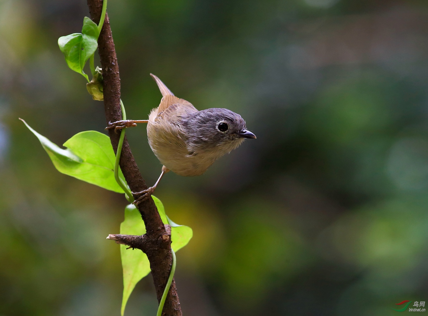 2019-10-30 11-39-16.JPG