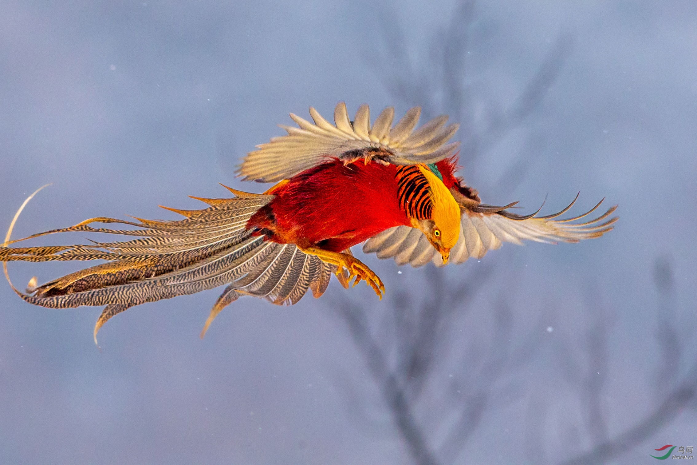 �츹���� (18).JPG