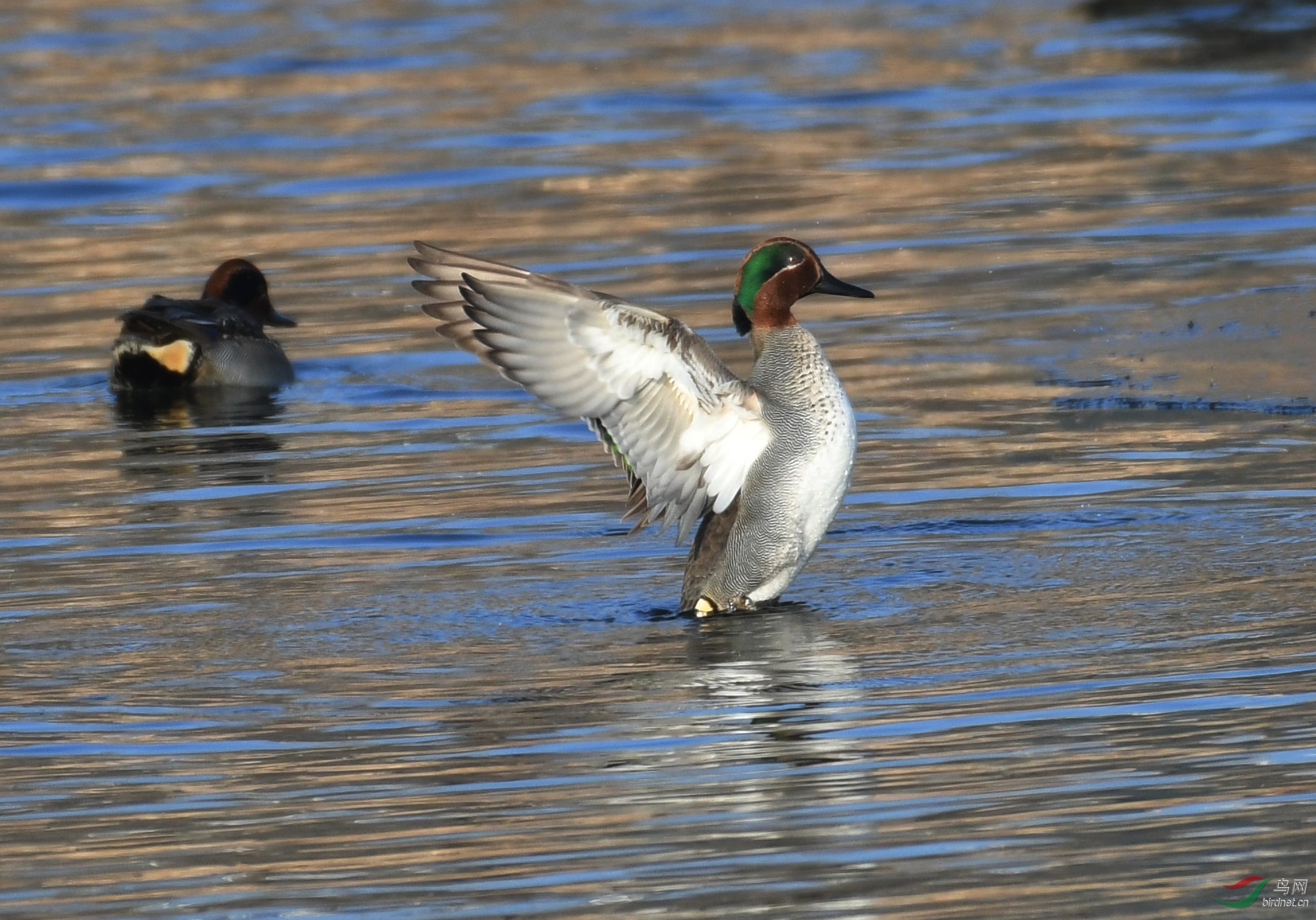 ������Ӱ 251����.jpg