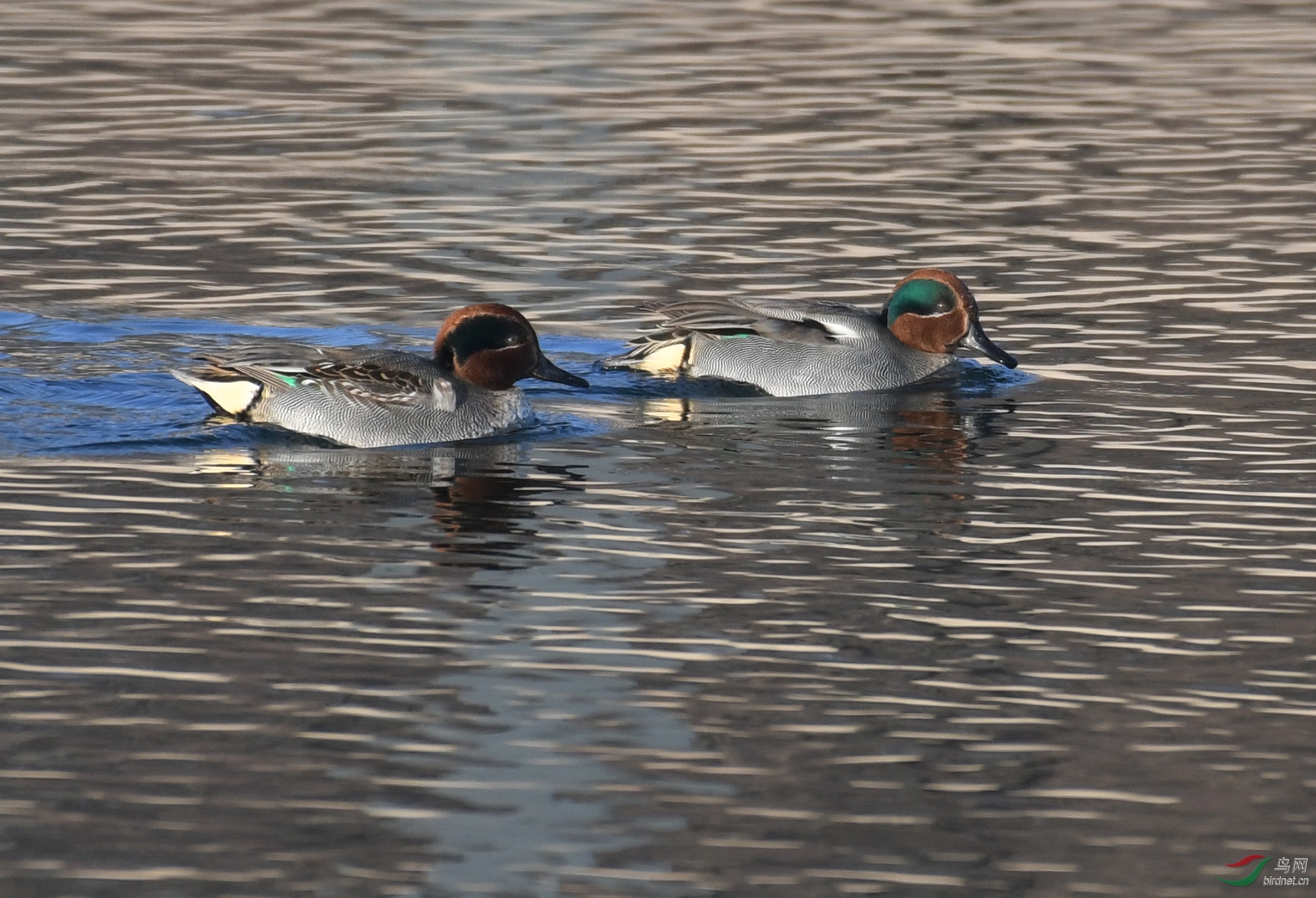 ������Ӱ 162����.jpg