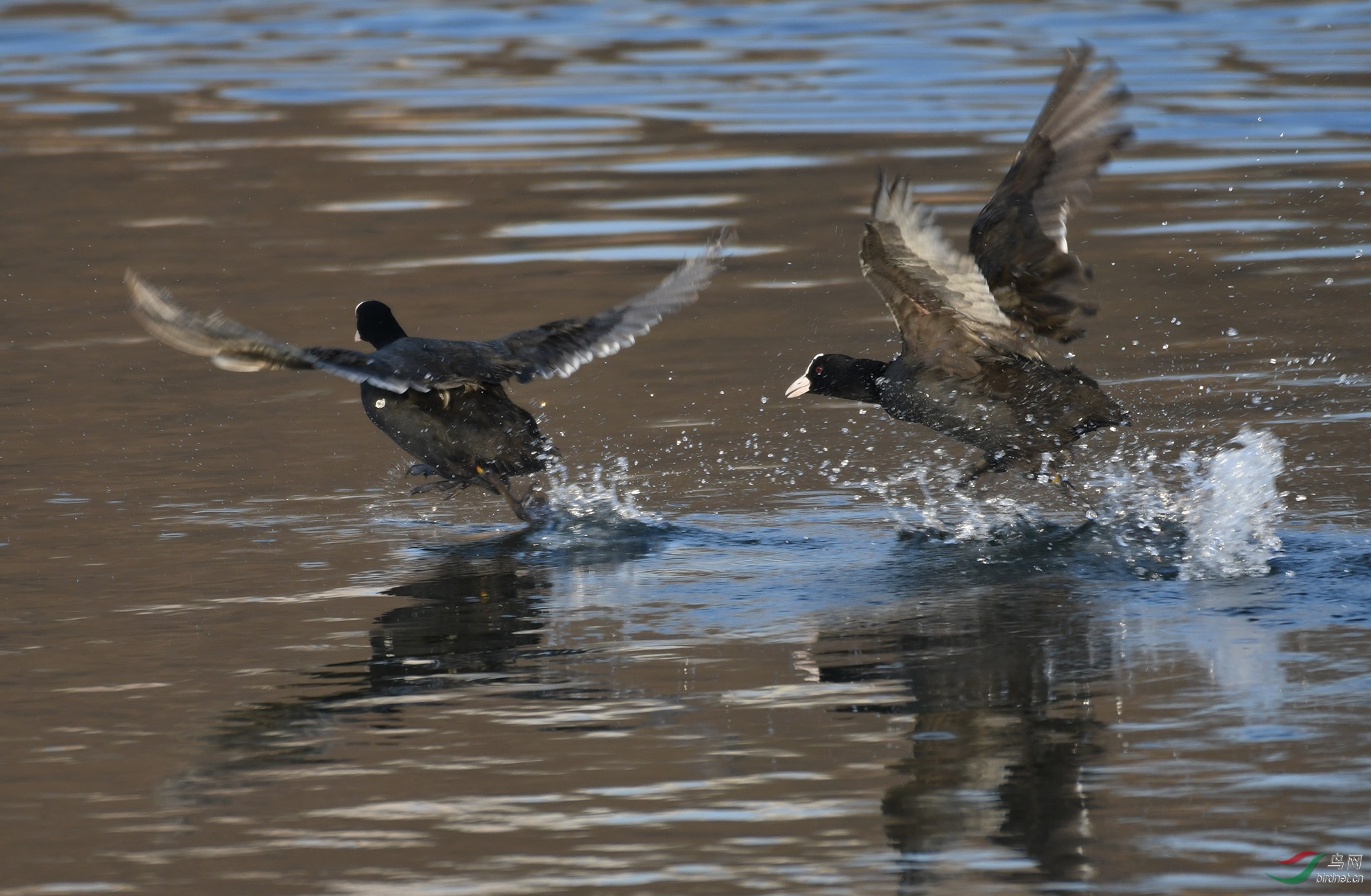 ������Ӱ 011����.jpg