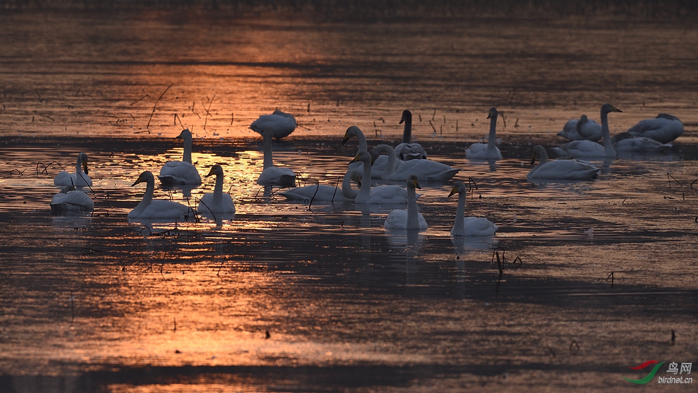_D4S5893_8124a.jpg