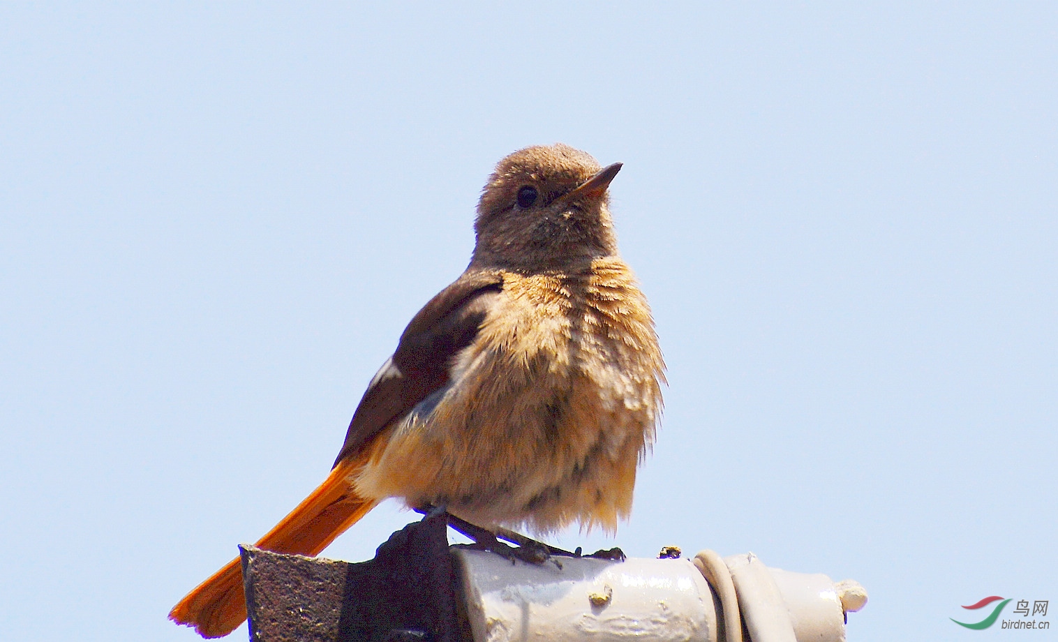 DSC_8711.JPG