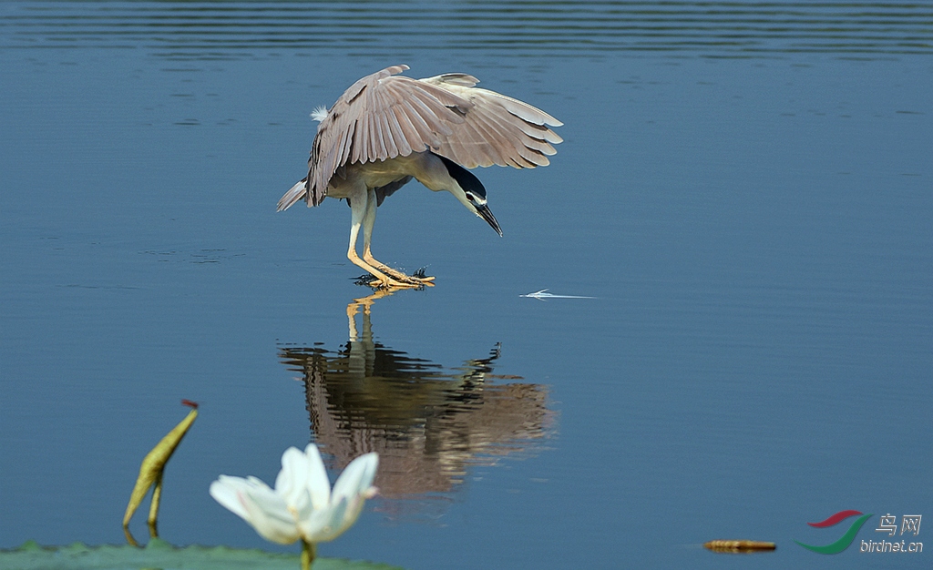 ˮ�� ����