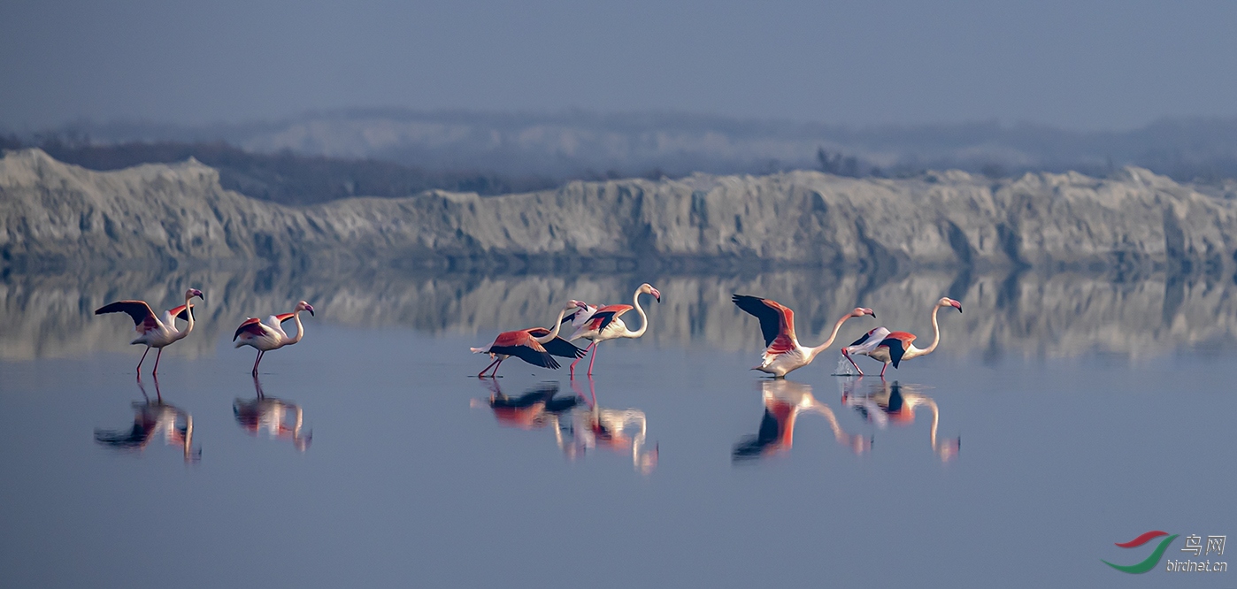 ������ɽ���˳��κ���