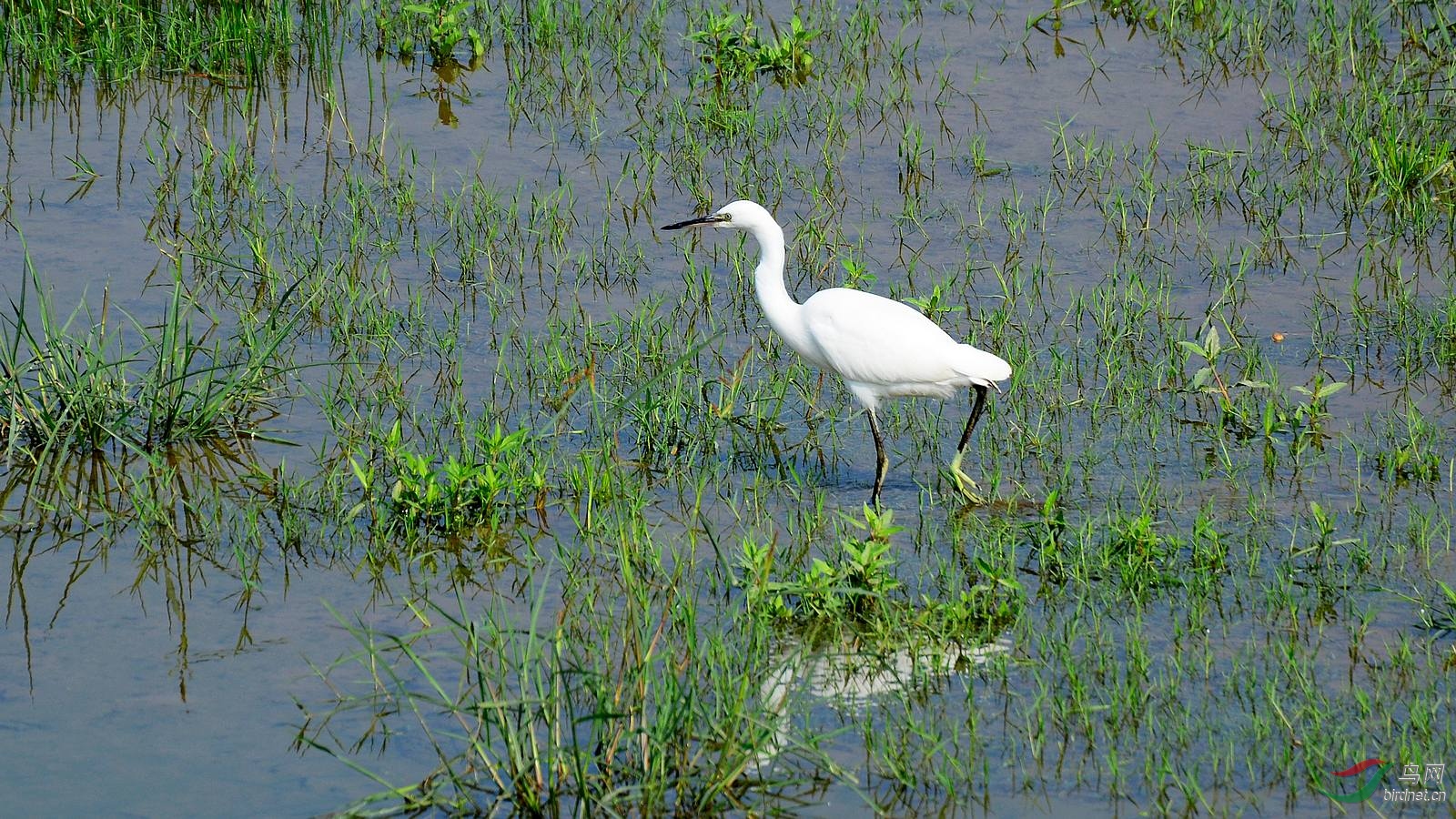 DSC_7204.JPG