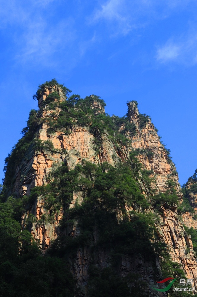 免推免顶免分贴4