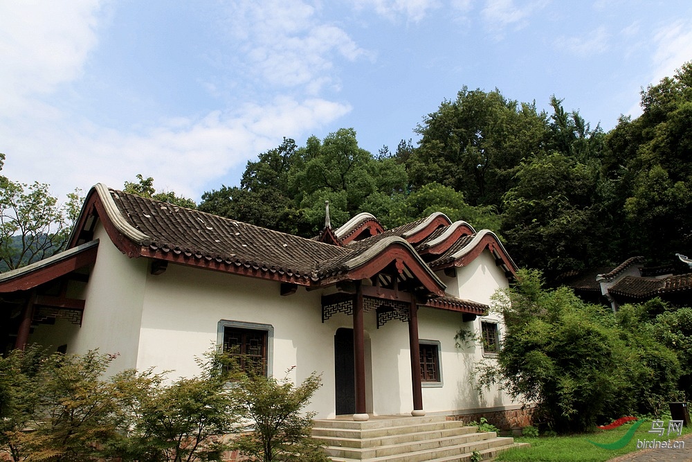 免推免顶免分贴4