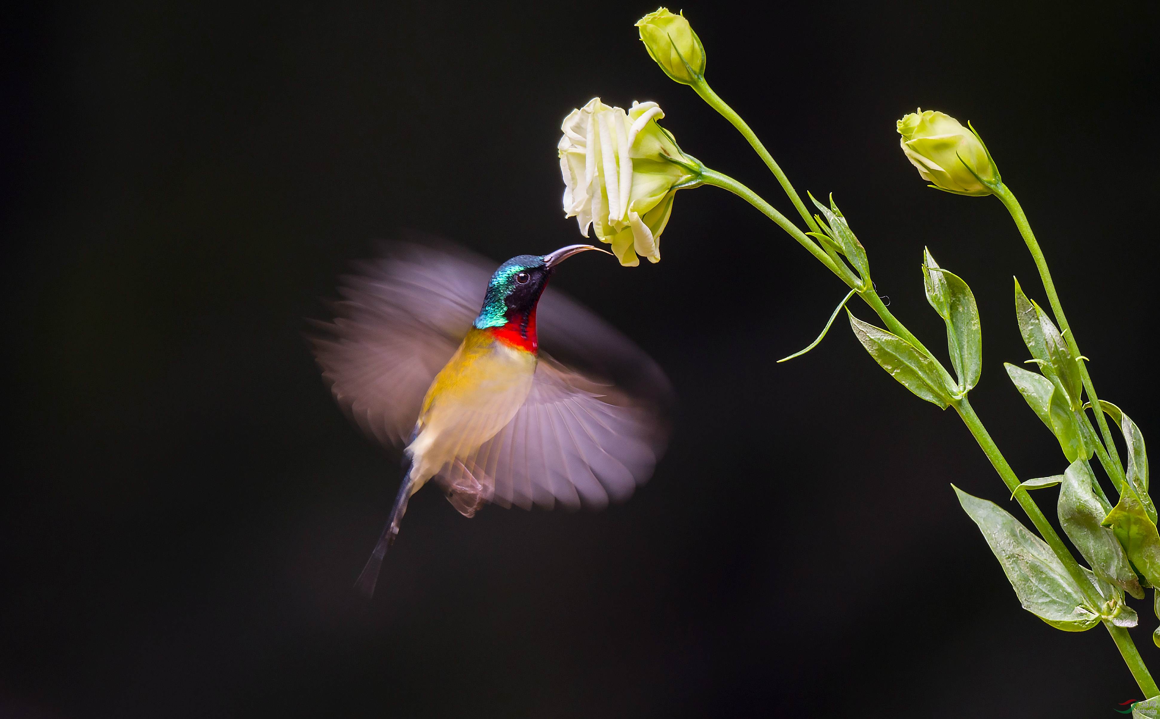 �������ˣ�