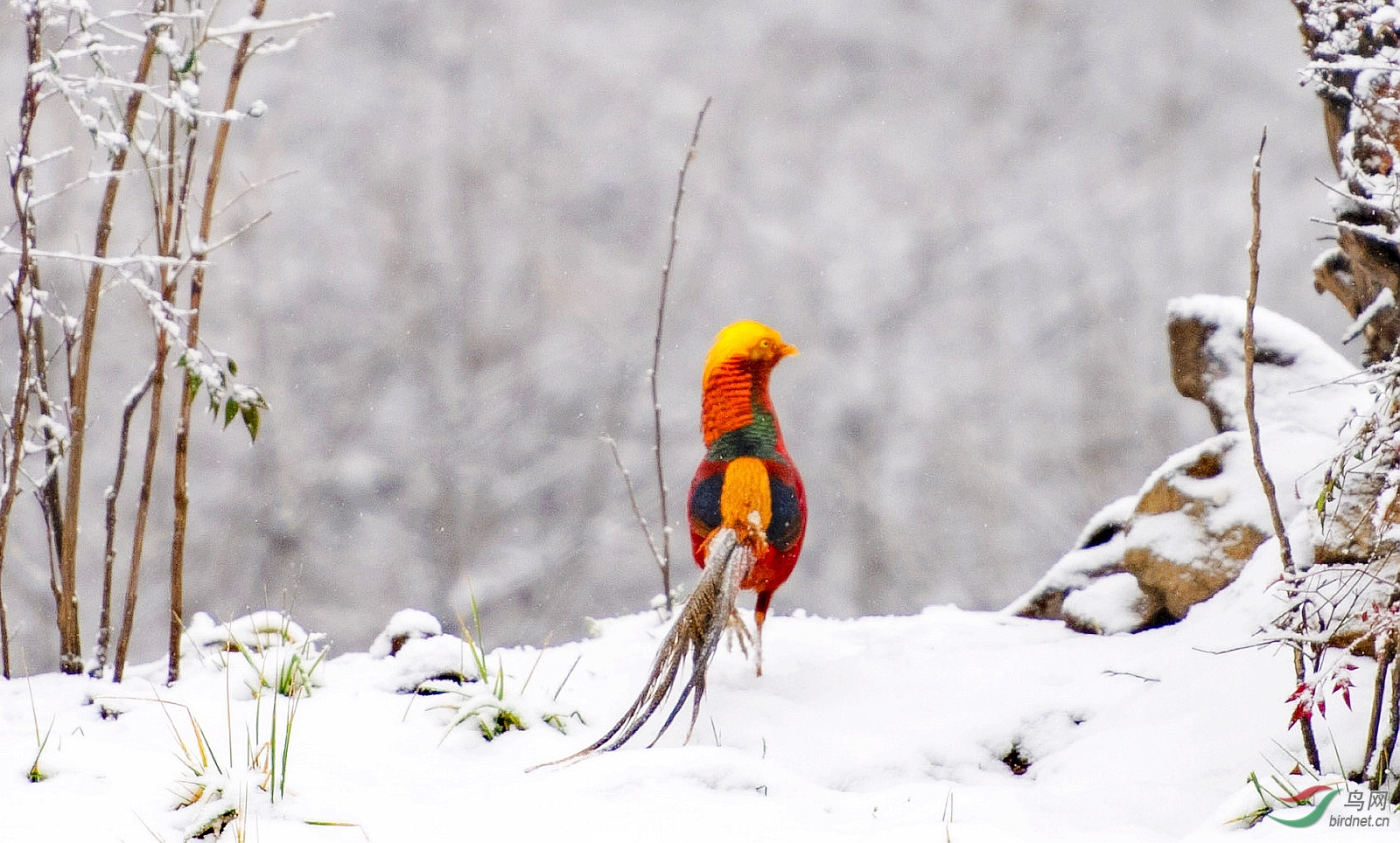 103434.jpg