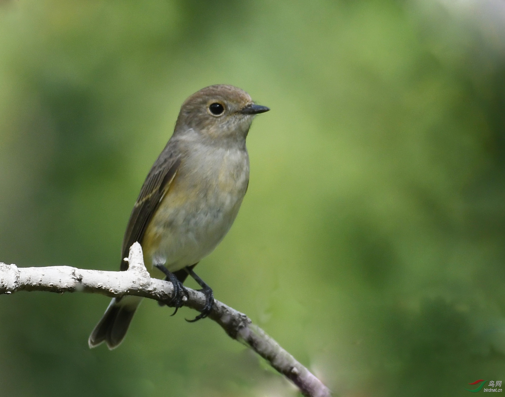 ������Ӱ 748����.jpg