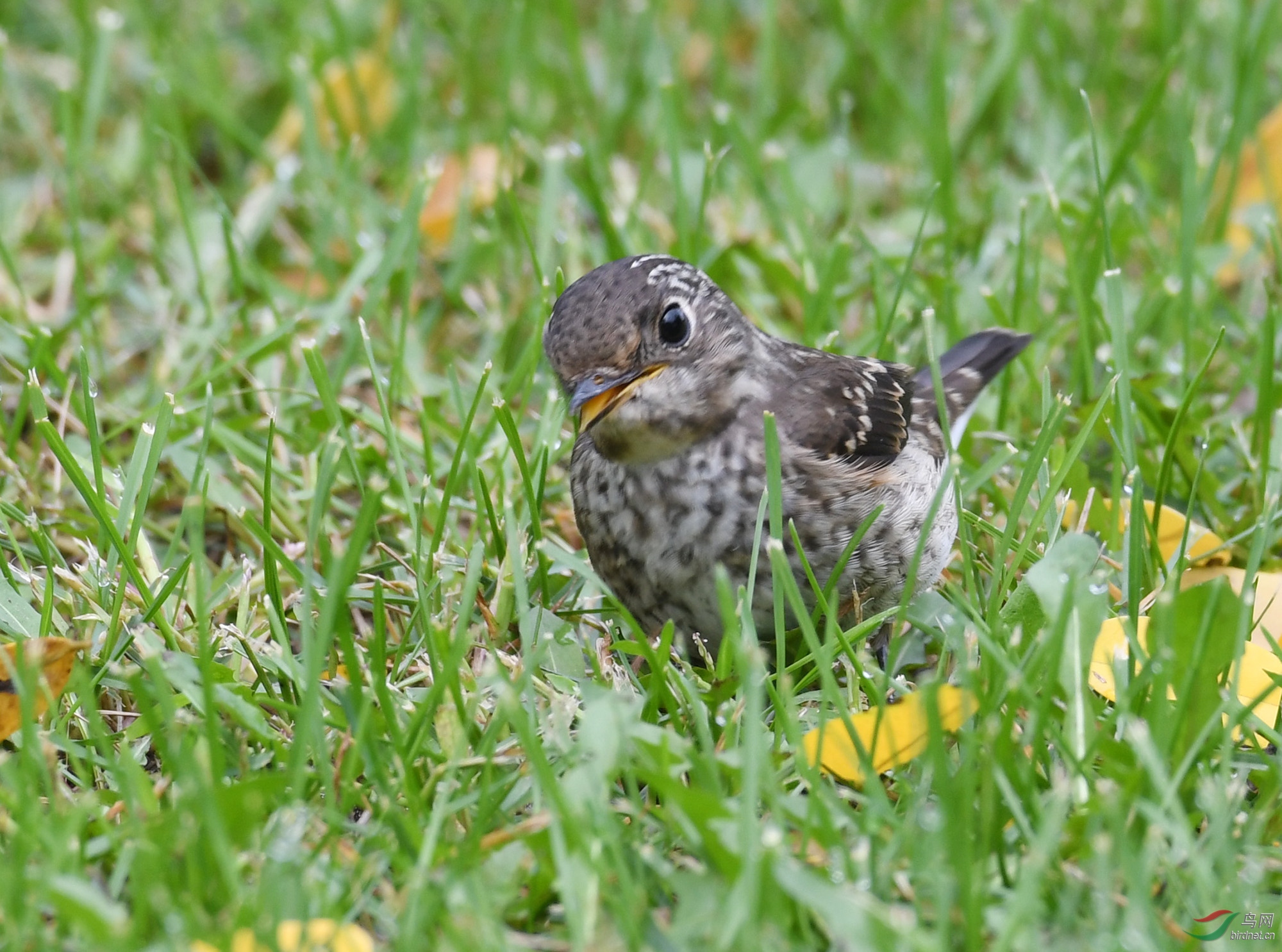 ������Ӱ 637����.jpg