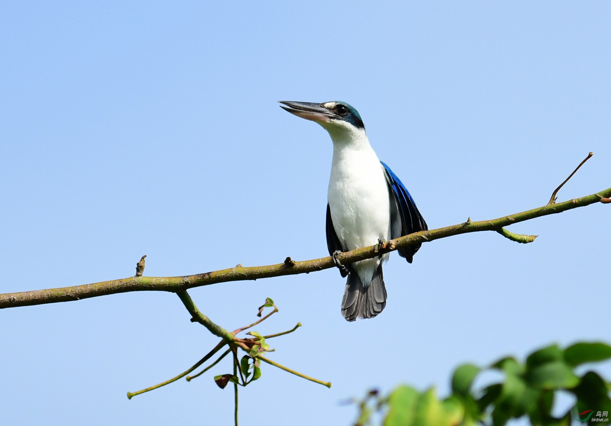 DSC_3306.JPG