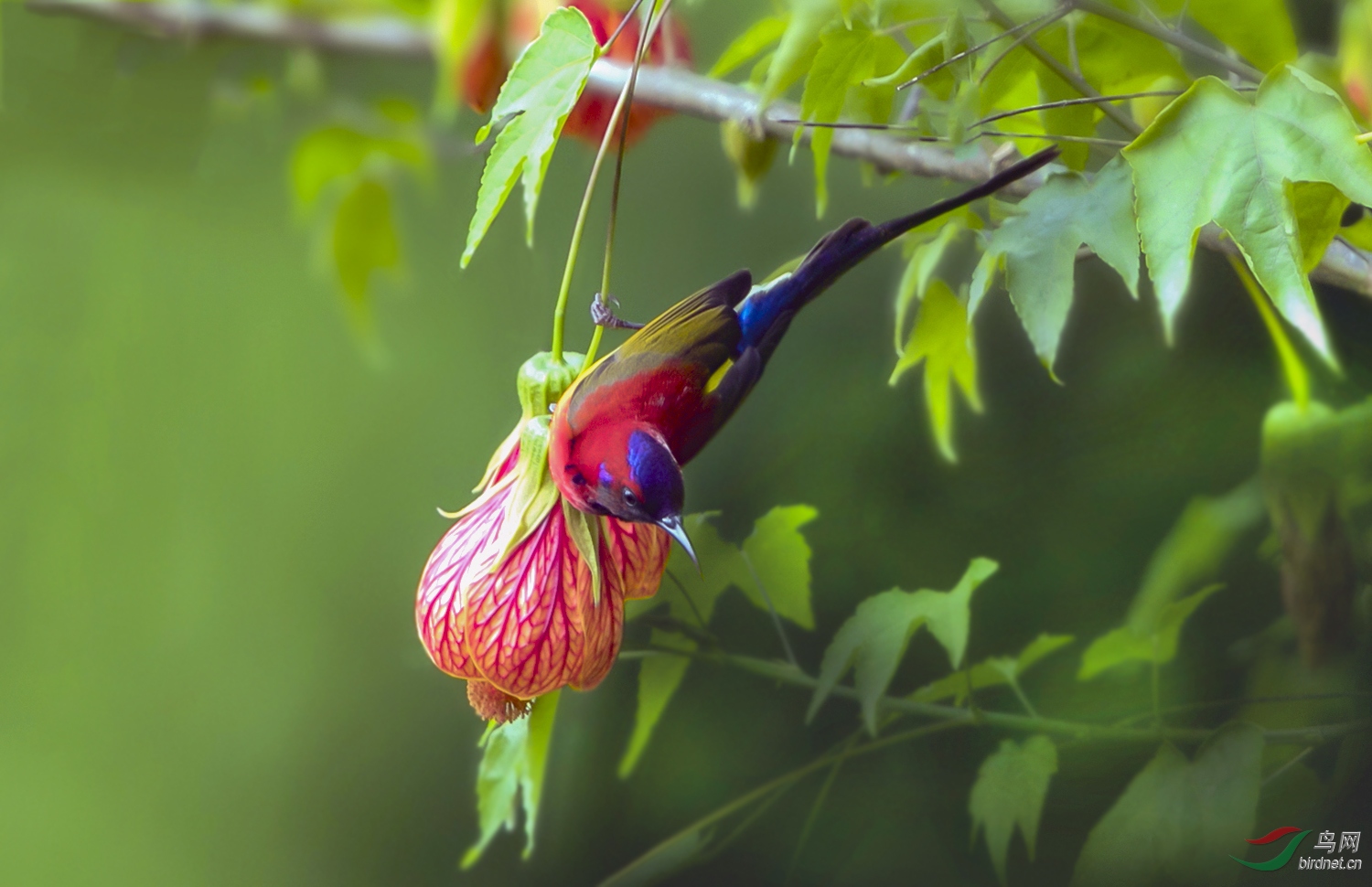 AW4I5742.jpg