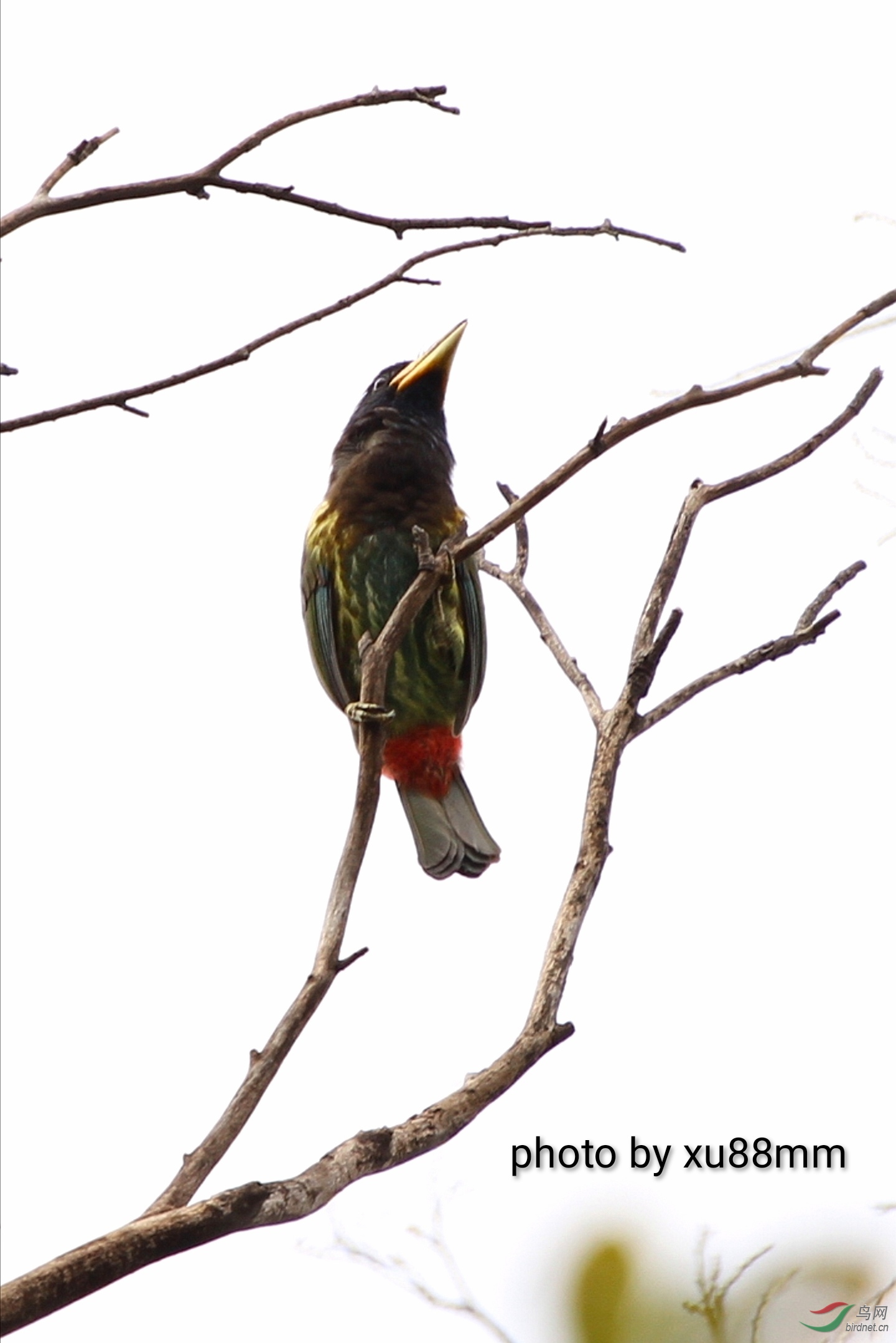 ����Լ15��