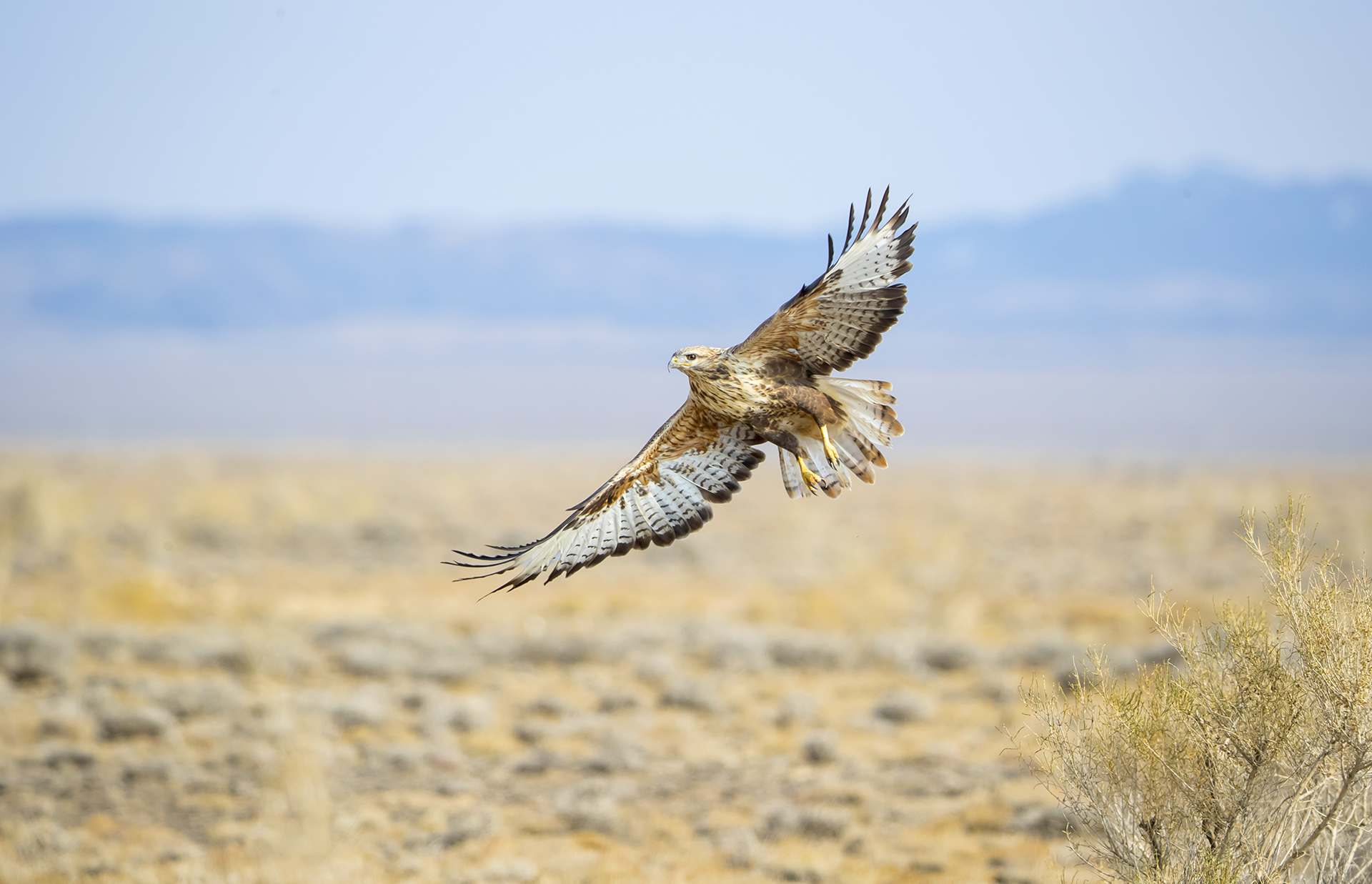 ���Ŀ�-��