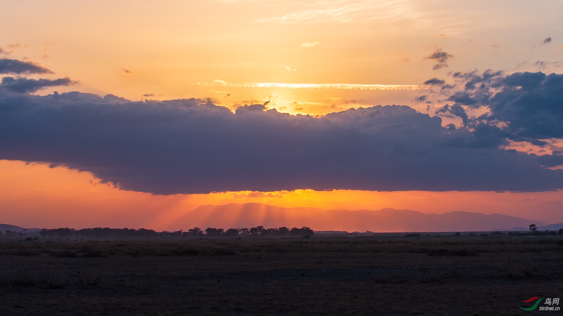 阳光总在风雨后拨开乌云见晴天