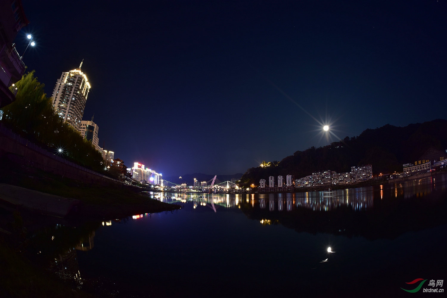 D8I_2917.jpg