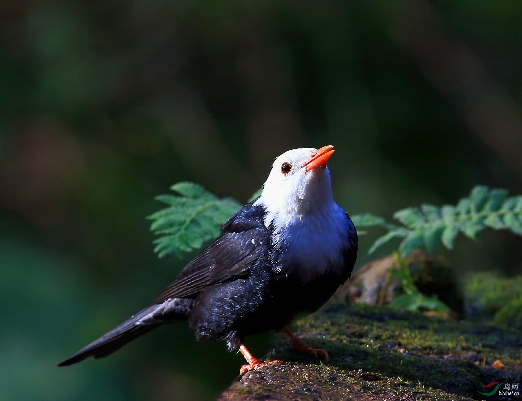 2019-12-13 08-08-57.JPG