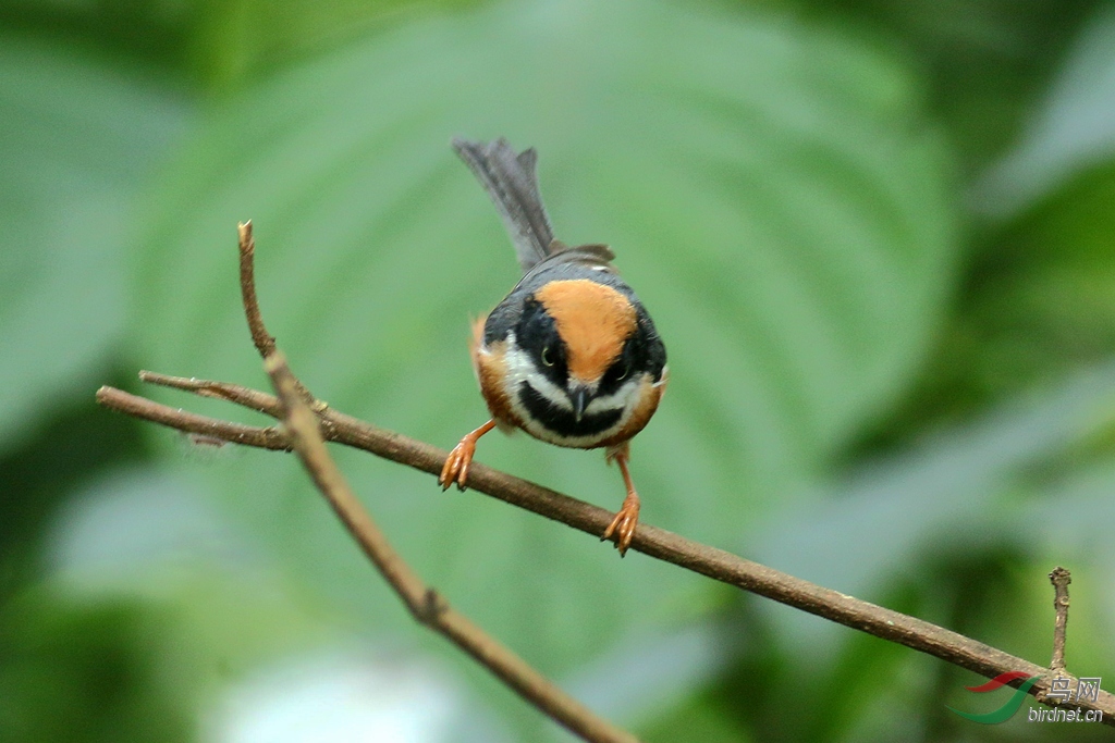 367A3237_����.jpg