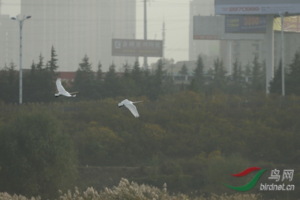 _E8J2300.jpg