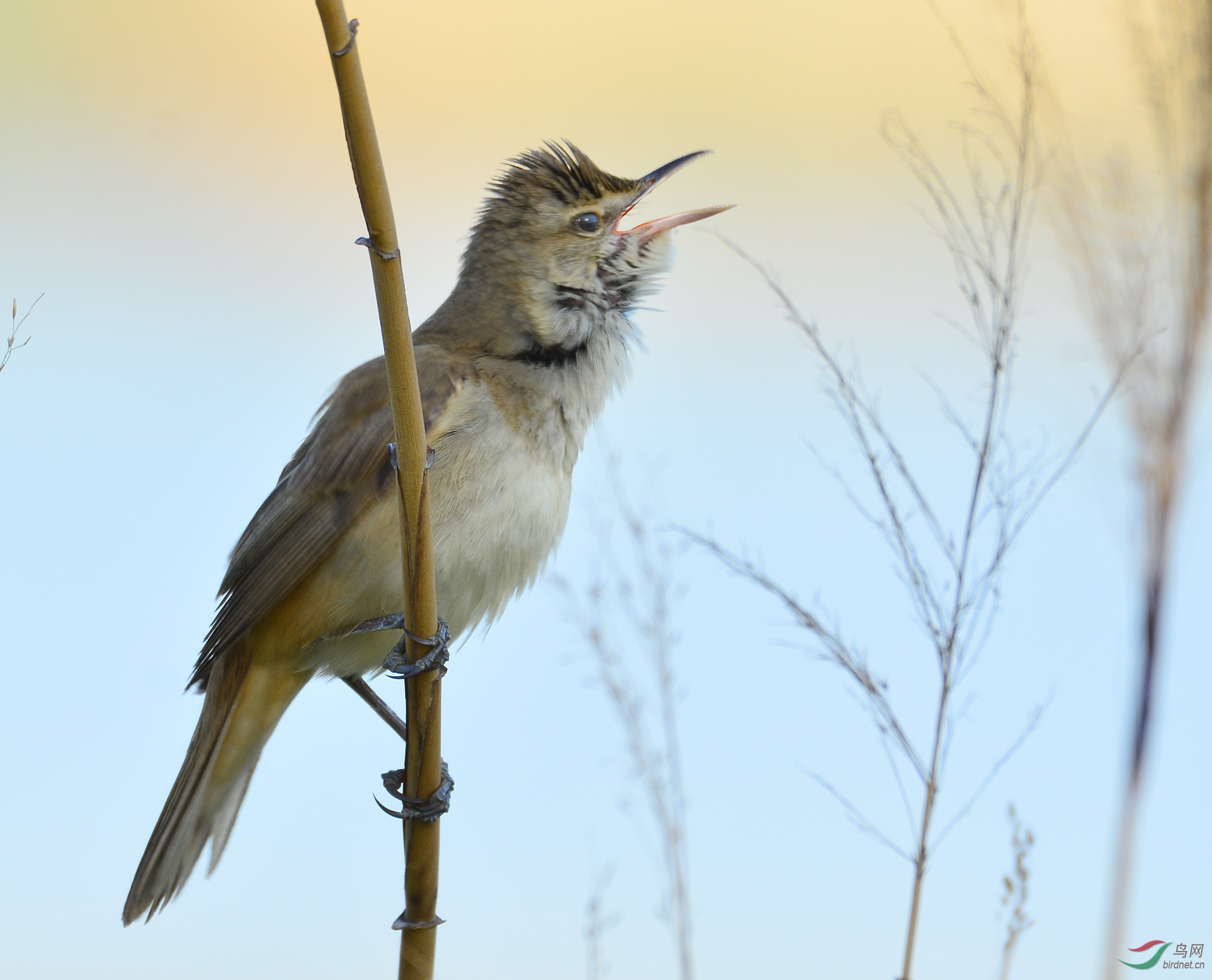 ������Ӱ 127����.jpg