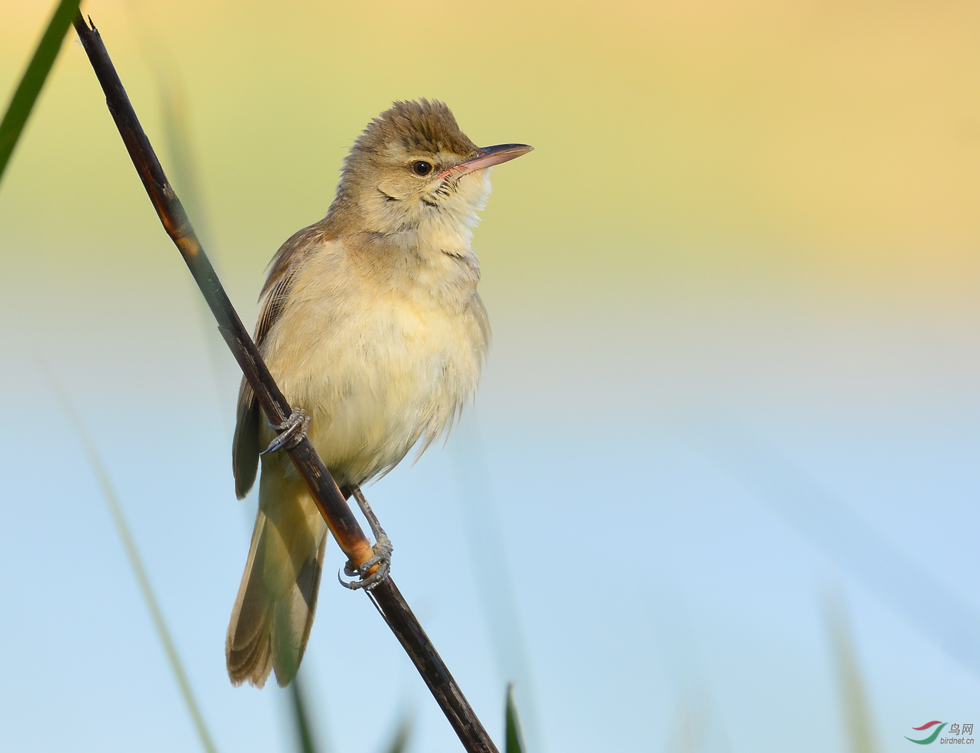 ������Ӱ 183����.jpg