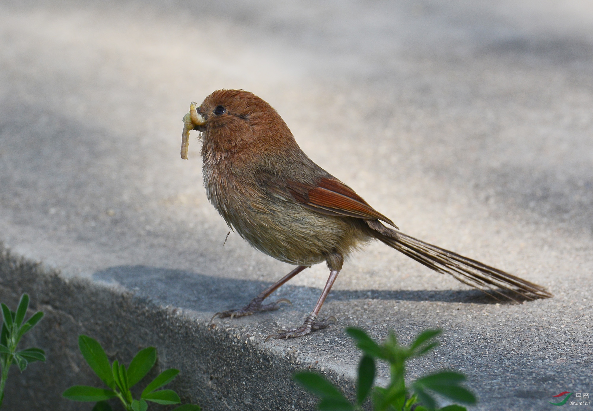 ������Ӱ 3242����.jpg