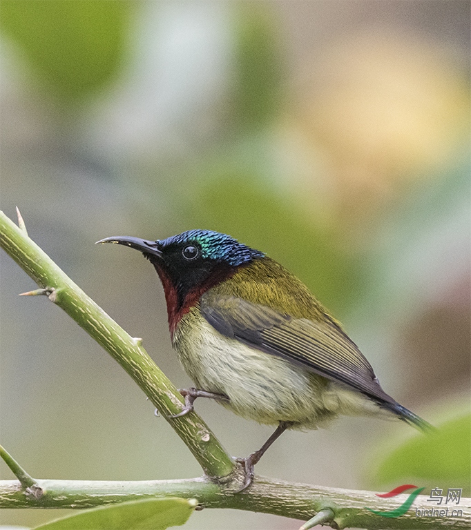 DSC_6741.jpg